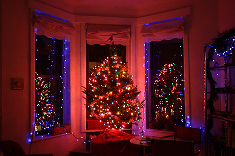 わが家のクリスマスツリー点灯式