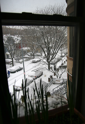 2008年ニューヨークの雪2月窓外