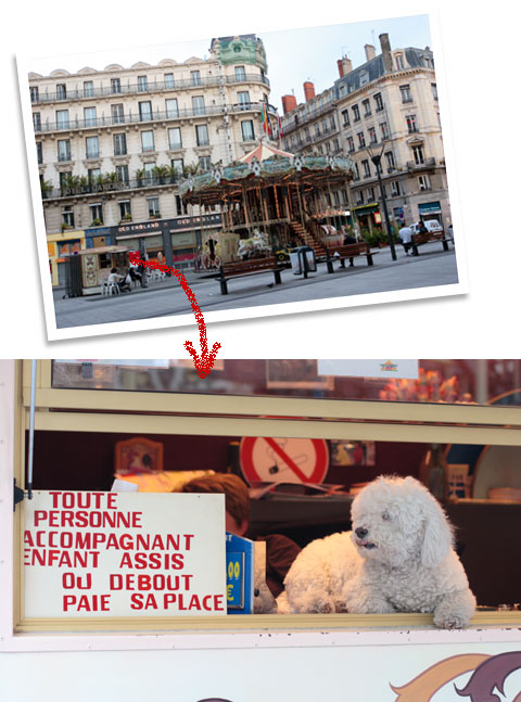 フランス旅行：リヨンのメリーゴーランド犬