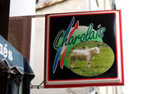 フランス旅行：ブルゴーニュの食肉用白牛シャロレ